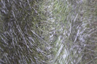 Tolmers fibreglass roof work